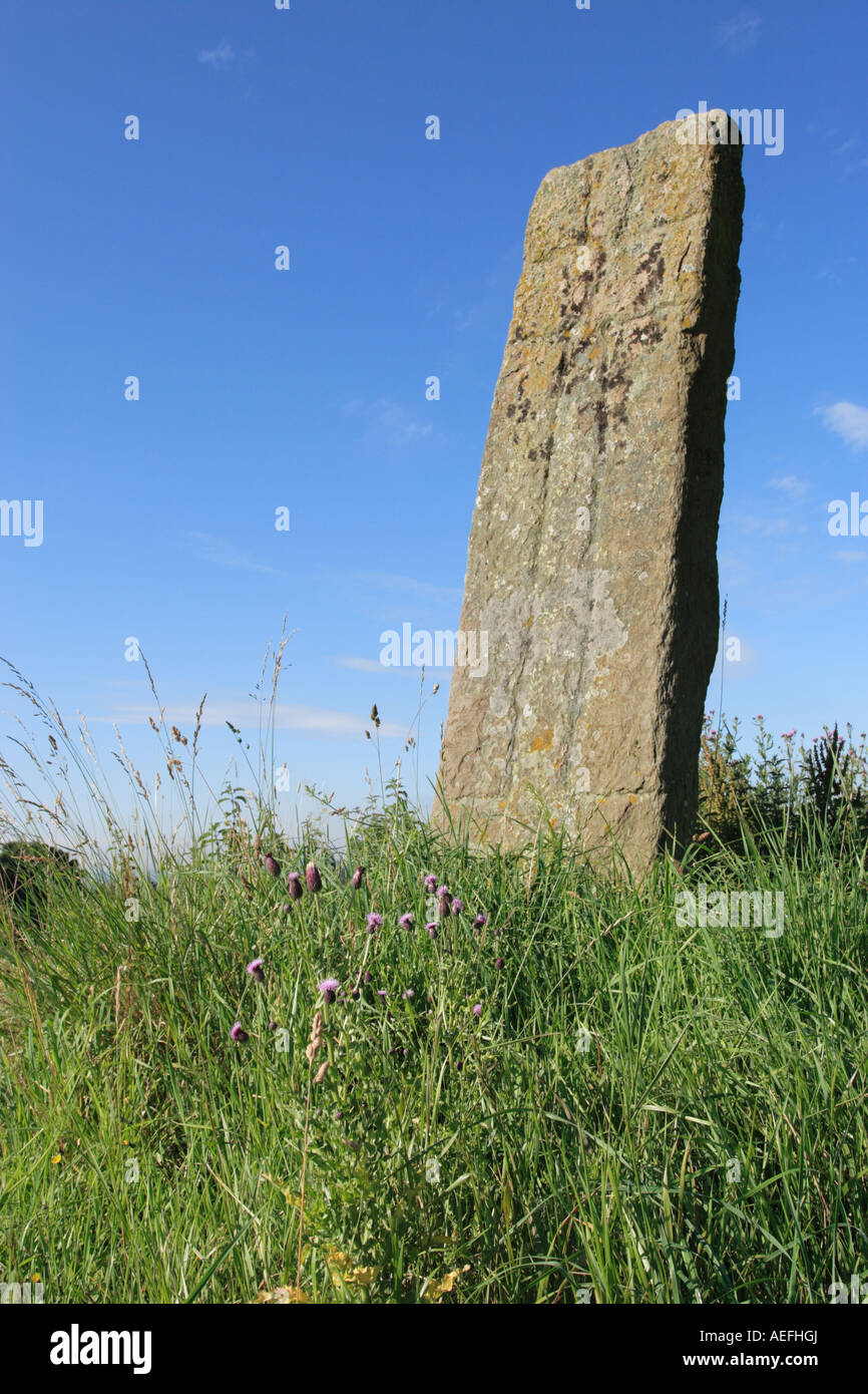 Parkmill Cross Slab. A carved standing stone near Alloa, Clackmannanshire. Stock Photo