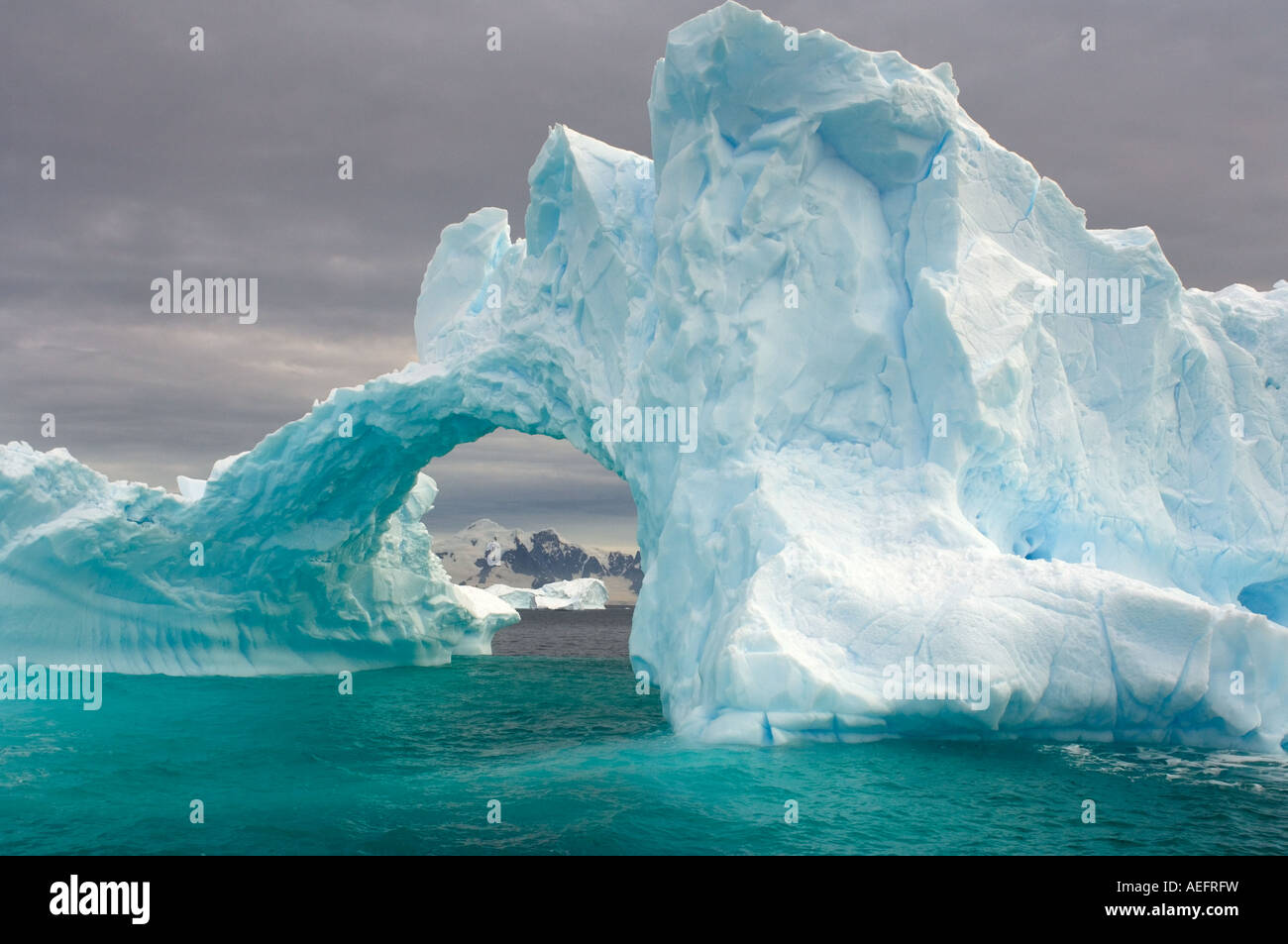 Arched Iceberg Floating Off The Western Antarctic Peninsula Antarctica arched-iceberg-floating-off-the-western-antarctic-peninsula-antarctica