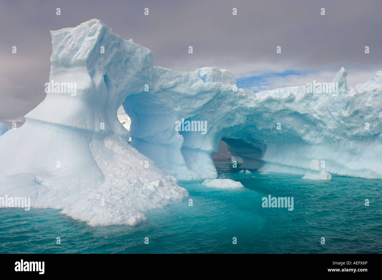 Arched Iceberg Floating Off The Western Antarctic Peninsula Antarctica arched-iceberg-floating-off-the-western-antarctic-peninsula-antarctica