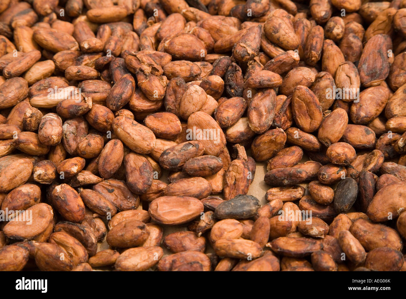Cocoa beans, Ghana Stock Photo Alamy