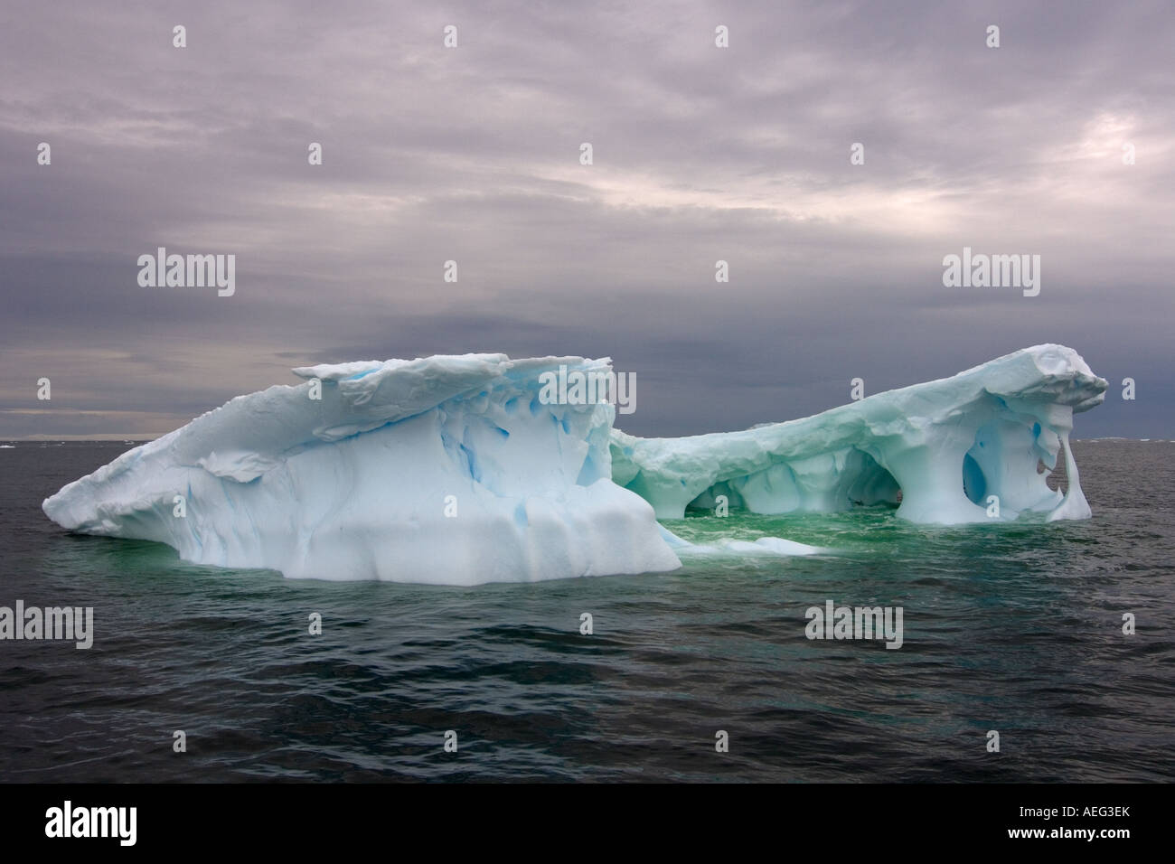 Arched Iceberg Floating Off The Western Antarctic Peninsula Antarctica arched-iceberg-floating-off-the-western-antarctic-peninsula-antarctica