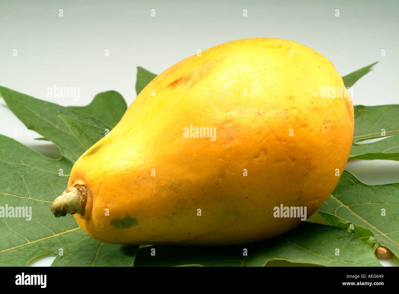 Fruits Vegetables papaya leaf leaves miscellaneous background texture food fruit Stock Photo