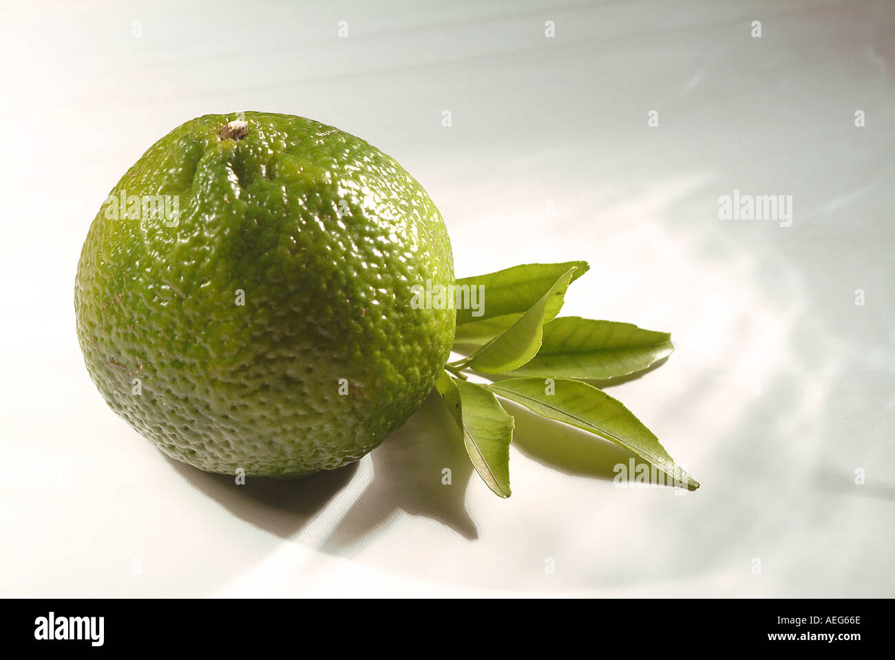 Fruits Vegetables tangerine mandarin green peel rind segment segments