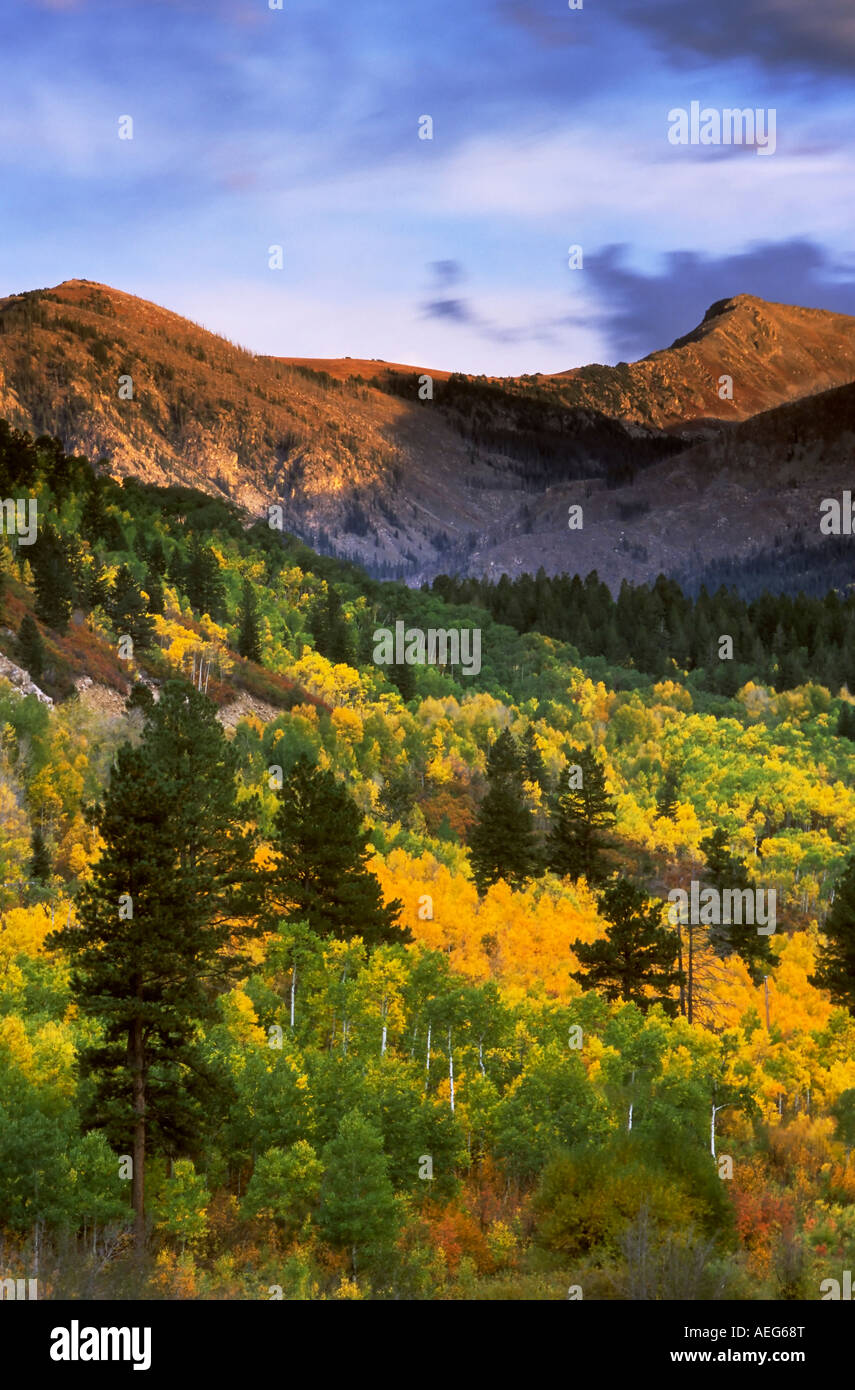 Autumn color below the Collgiate Peaks from the Roaring Fork Valley near Aspen Colorado White River National Forest Stock Photo