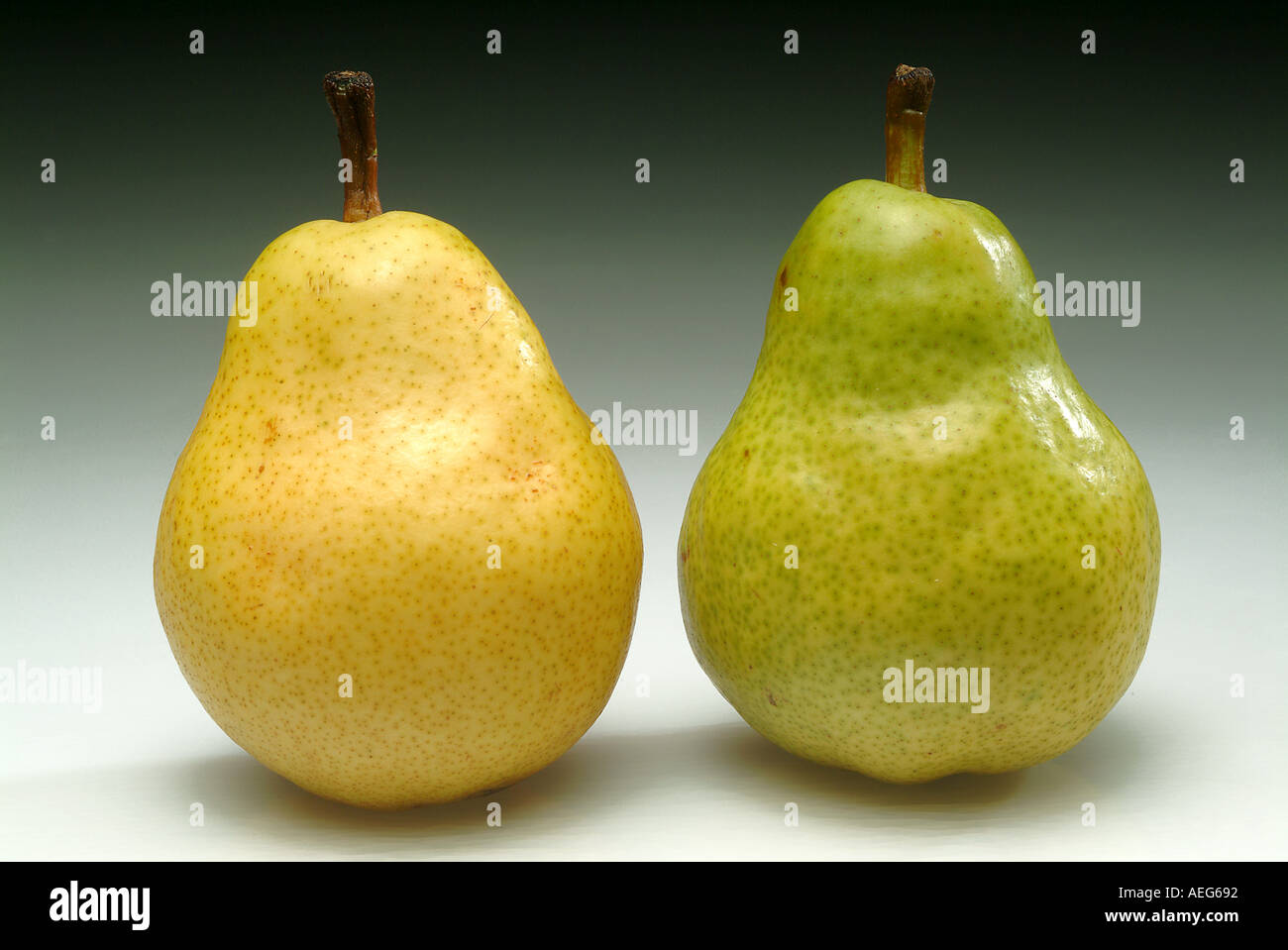 Fruits Vegetables pear pears stem sitting upright yellow yellowish green greenish food fruit