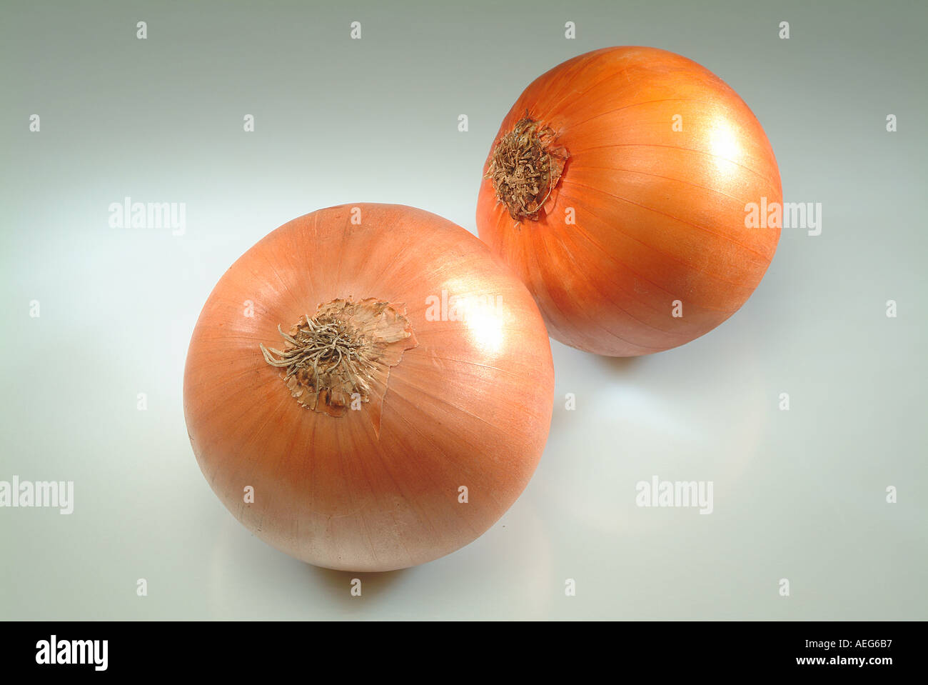 Fruits Vegetables onion onions two peel sharp tasting edible bulb