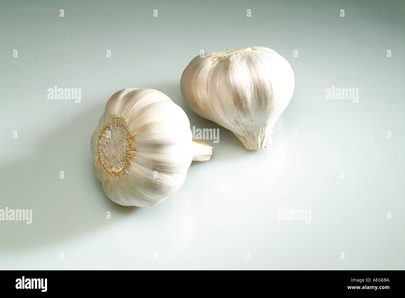 Fruits Vegetables herb garlic pungent smelling compuond bulb bulbous