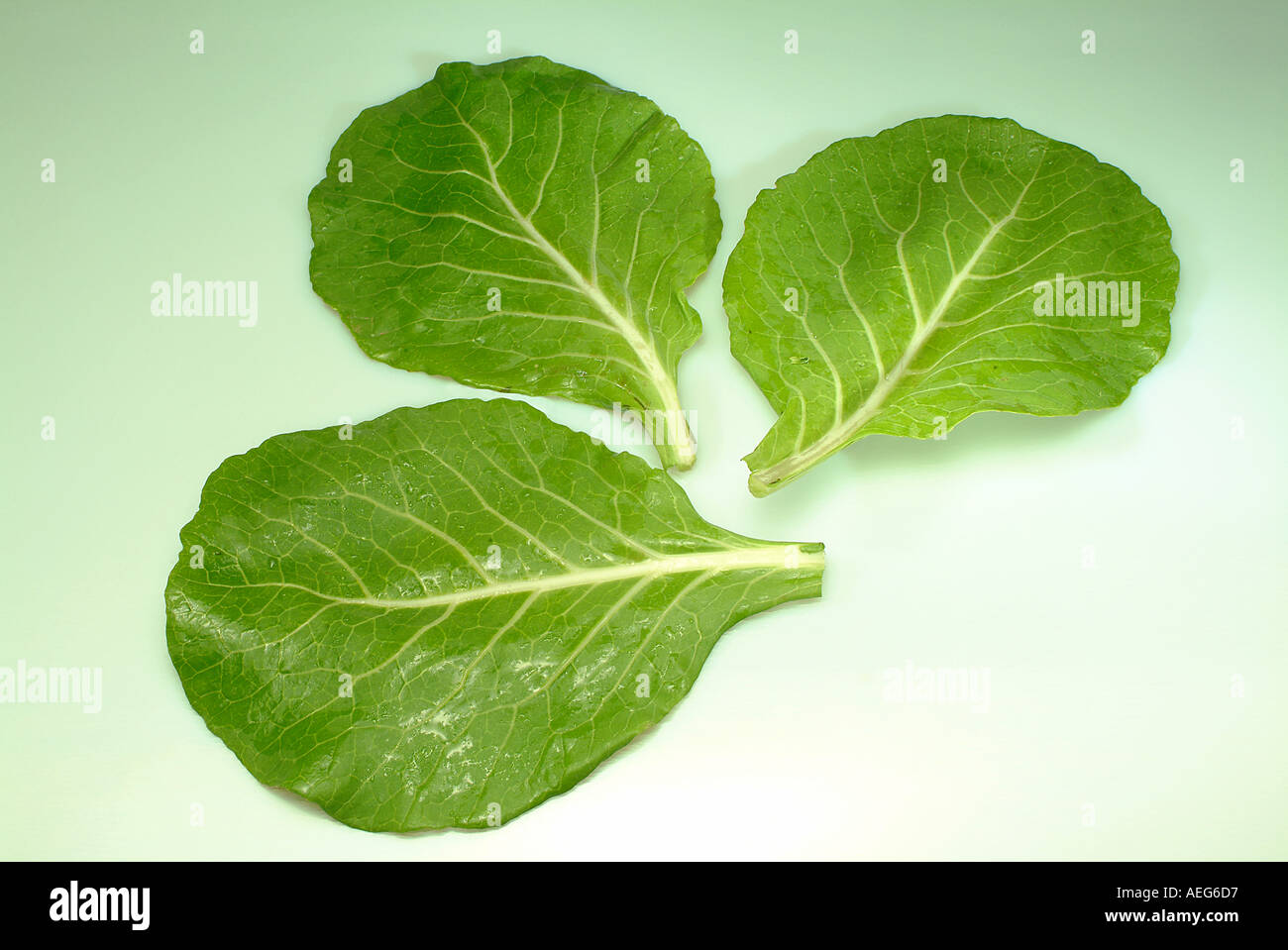 Fruits Vegetables cabbage leafy vegetable leaves cabbagelike kale ...