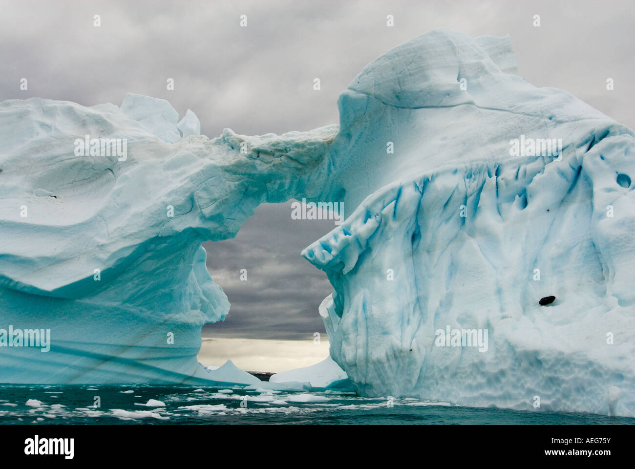 Arched Iceberg Floating Off The Western Antarctic Peninsula Antarctica arched-iceberg-floating-off-the-western-antarctic-peninsula-antarctica