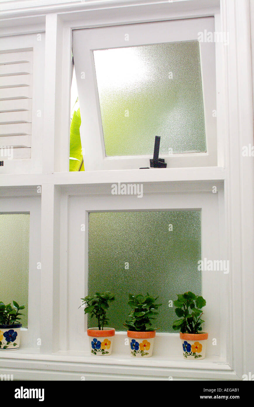 Sweet Home home house window windows vase vases flowers plants