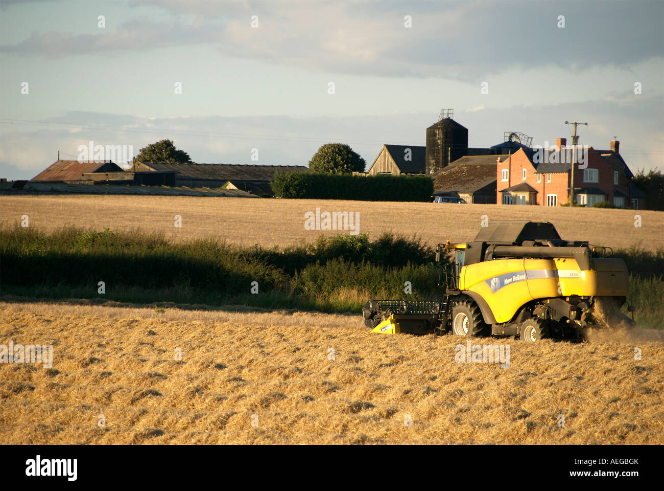 A working farmer making hay while the sun shines and reaping the harvest on a yellow new holland combine harvester on farm house Stock Photo