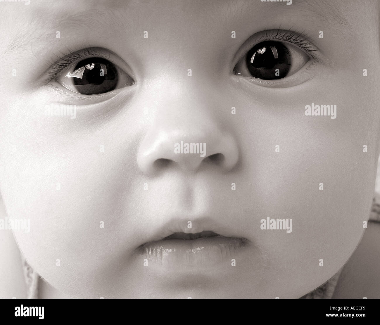 Baby close up brown eyes cute rosy cheeks staring curiosity Stock Photo
