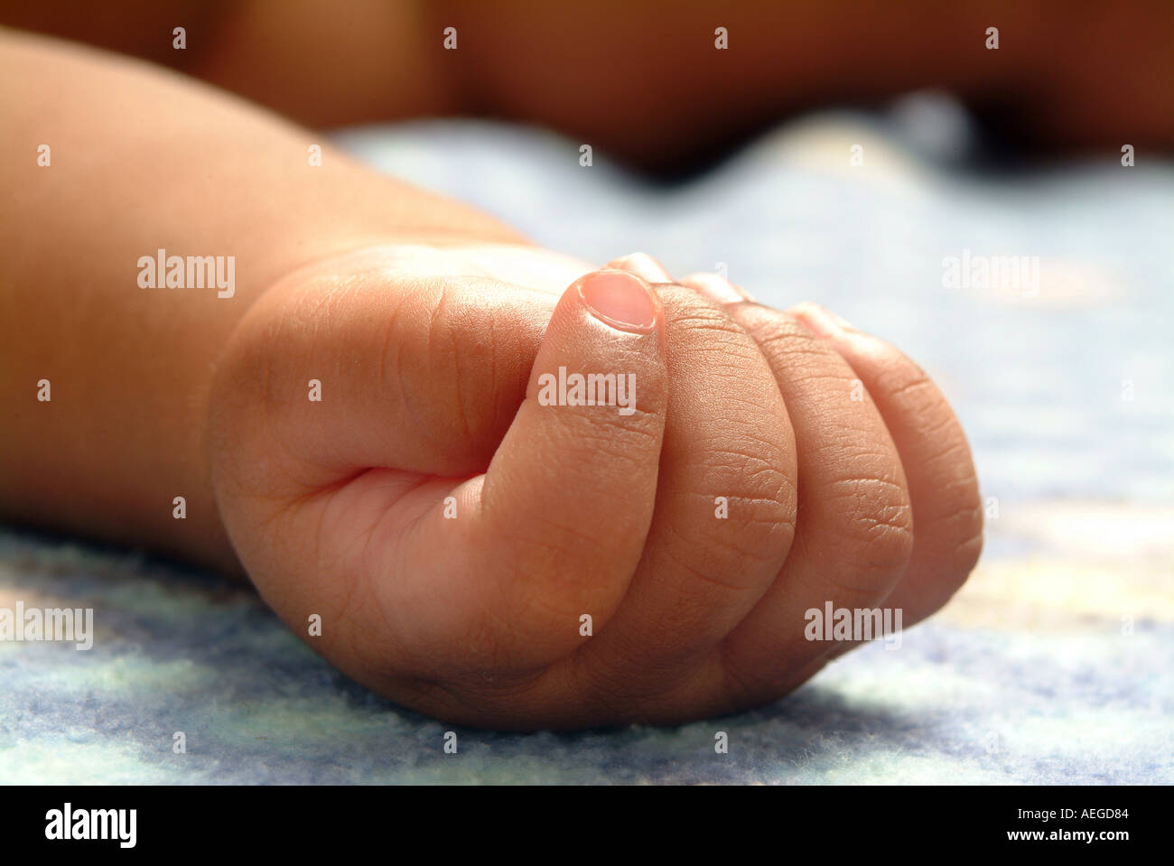 Baby s World baby s fingers lying small cute rosy fist hand wrist sleeping bed resting person people kid child baby Stock Photo