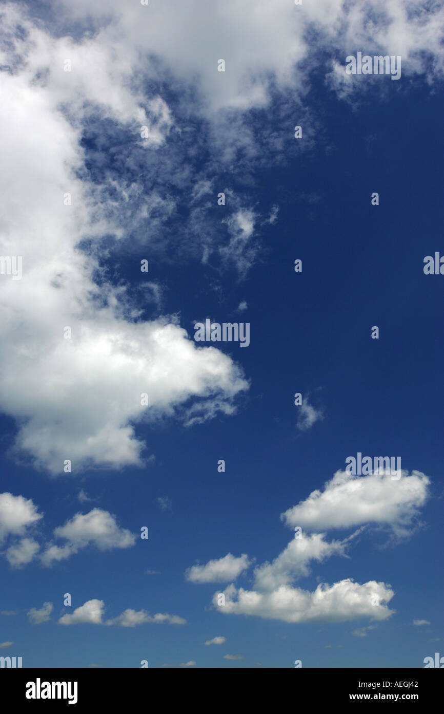 Bright blue summer sky with light white fluffy clouds sky the limit ...