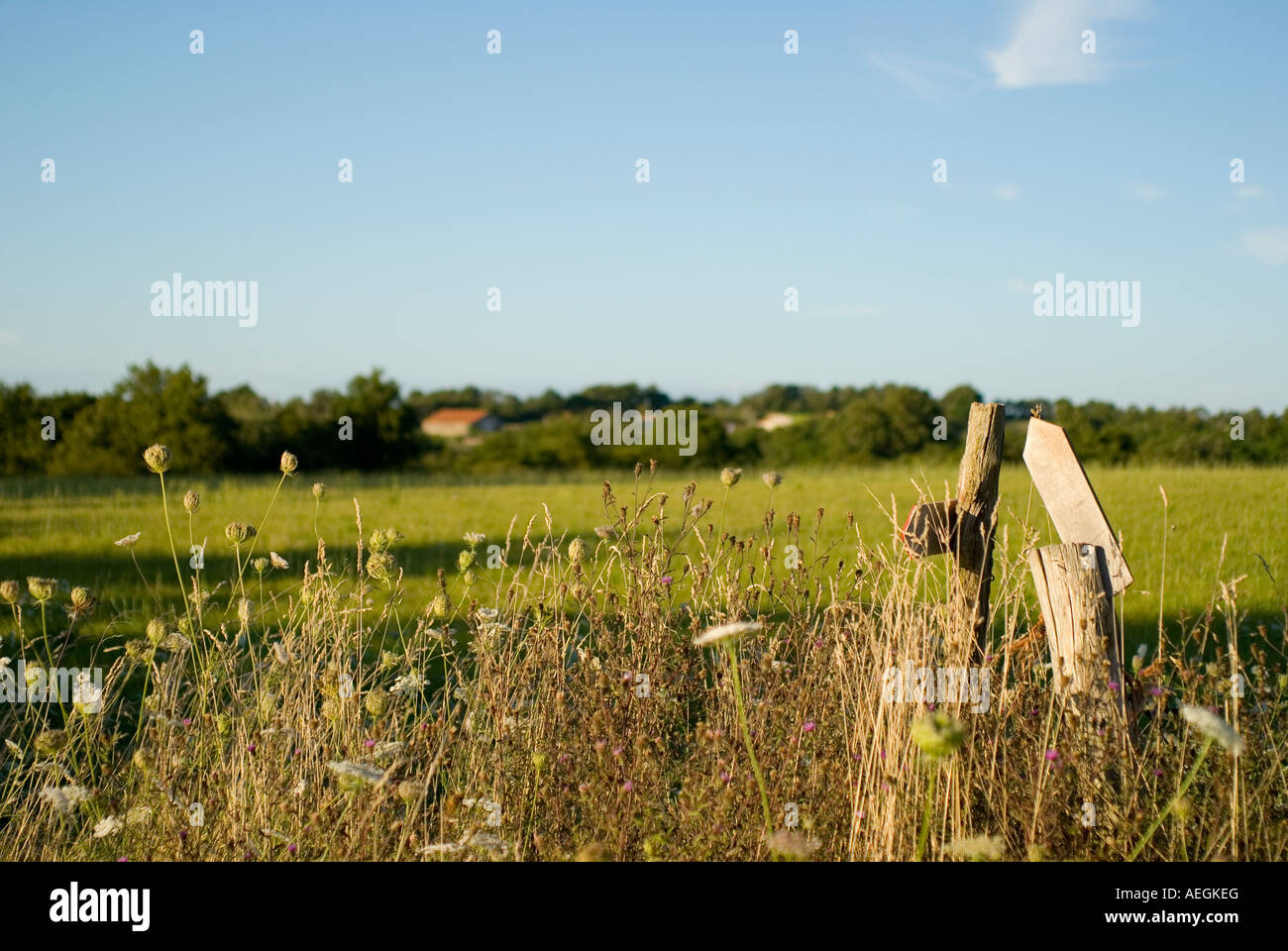 Summer - Vendee region of France Stock Photo - Alamy
