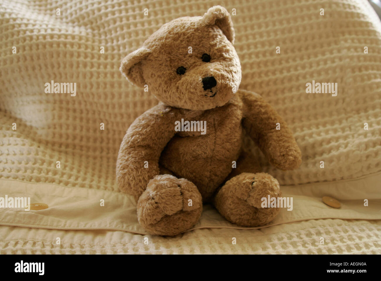 Teddy Bear Stock Photo - Alamy