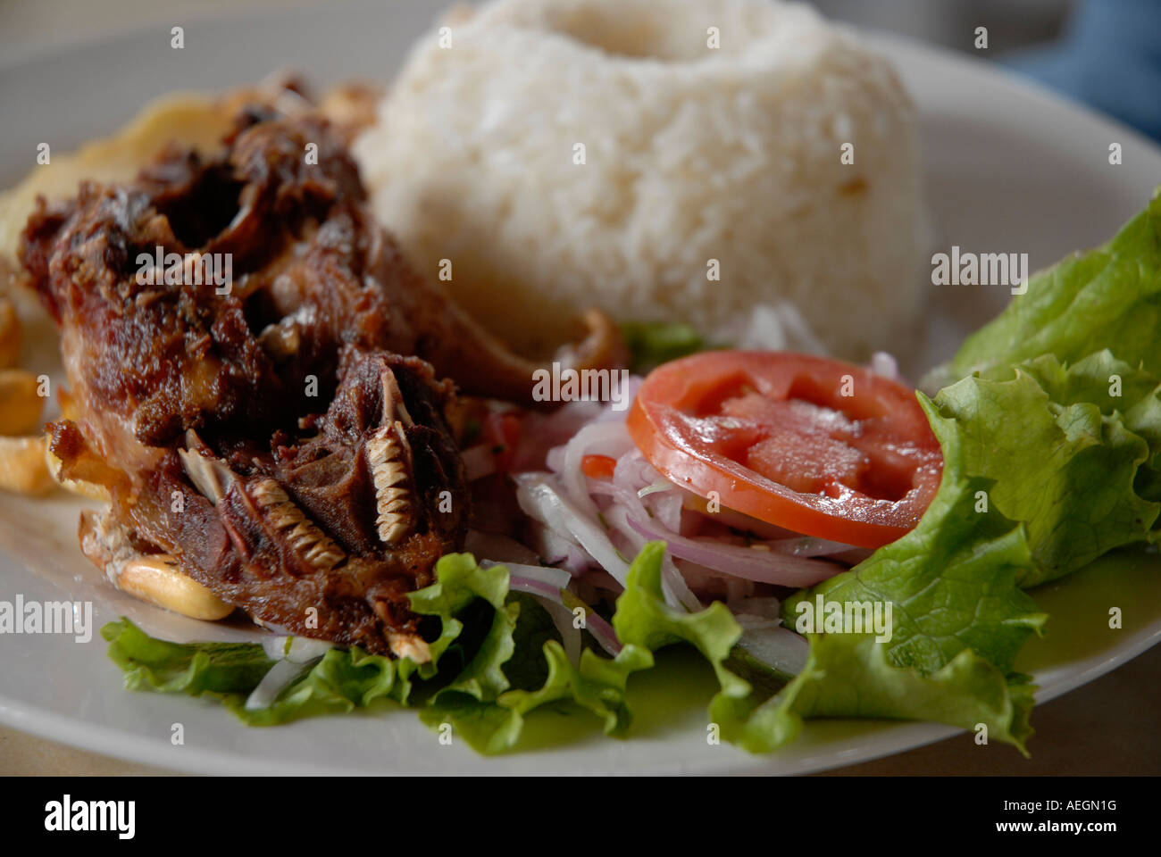 Picture of Guineapig hi-res stock photography and images - Alamy