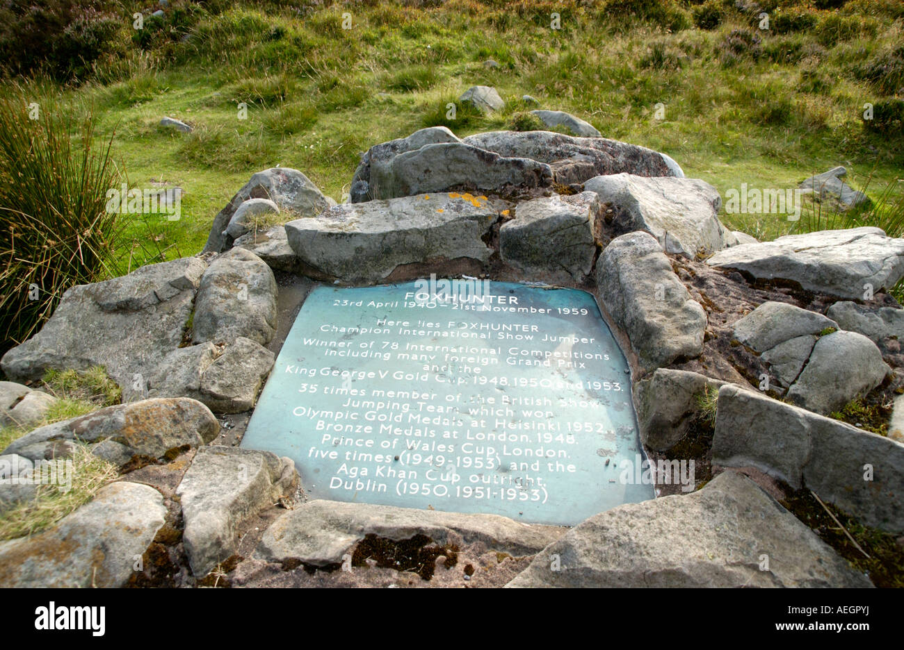 Grave of champion showjumper Foxhunter Blorenge Wales UK Stock Photo
