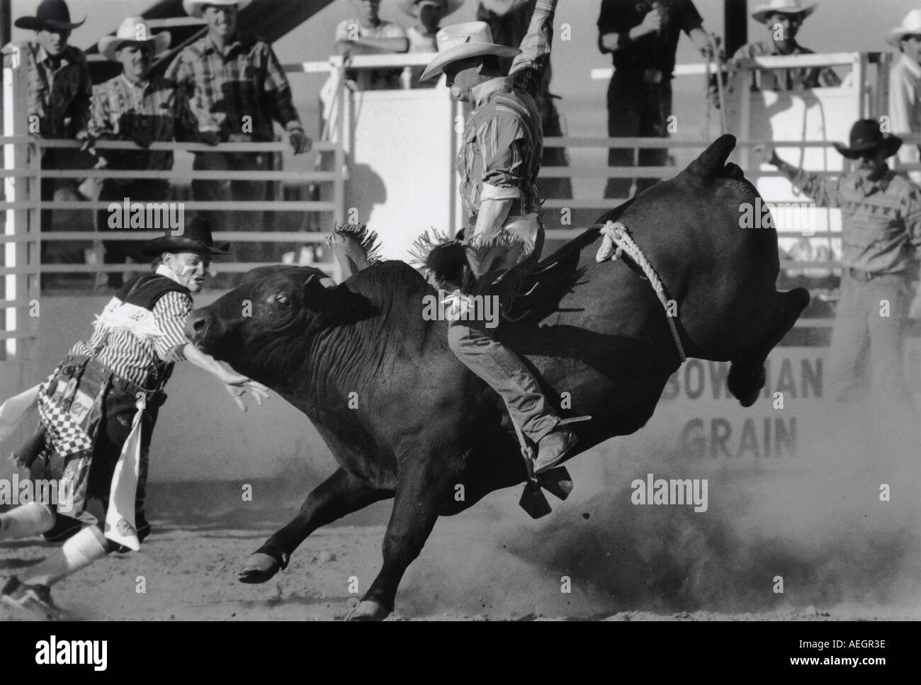 USA N Dakota Slope County Fair bull rider People Great Plains Stock