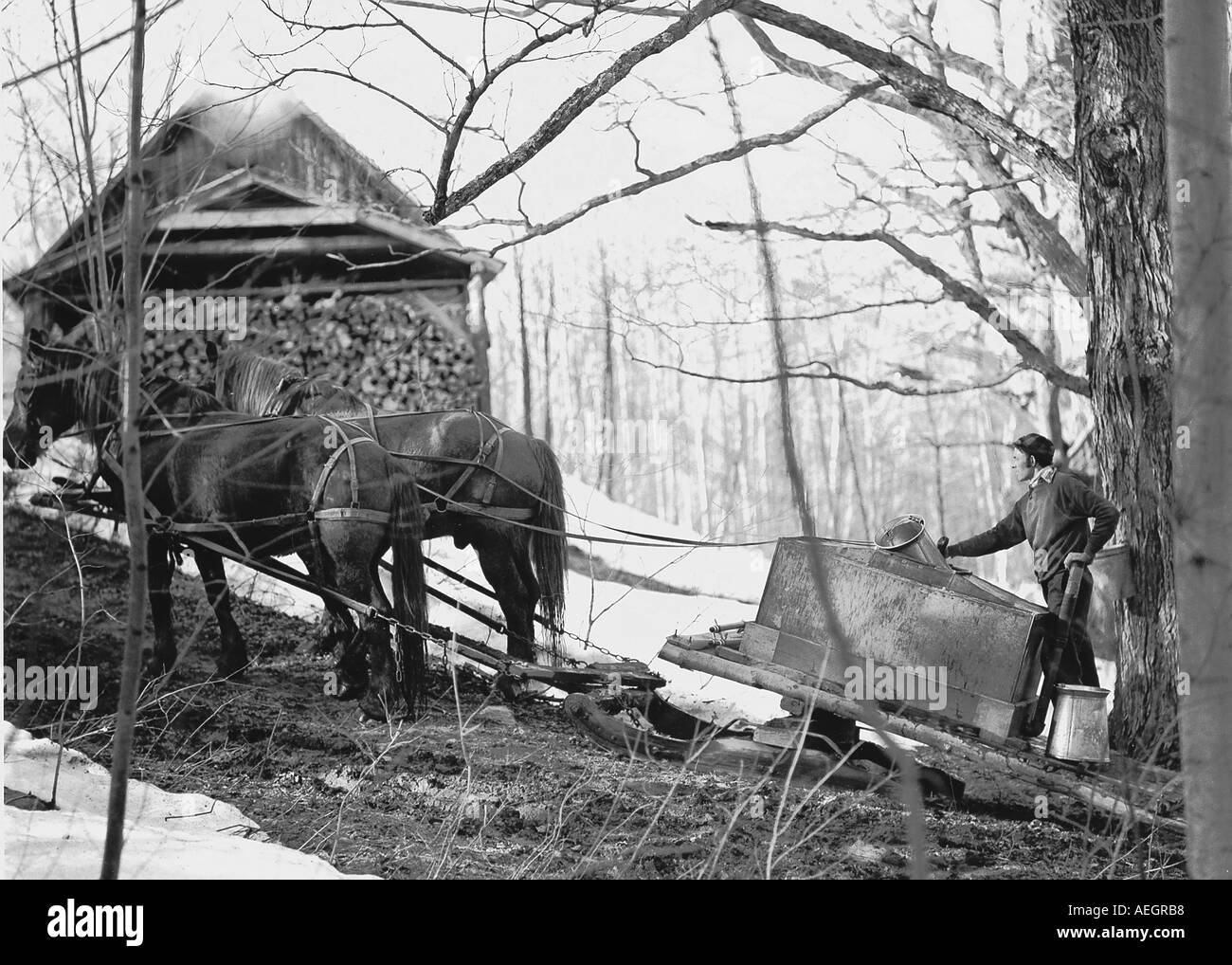 USA Vermont Morristown maple syrup makers Stock Photo Alamy