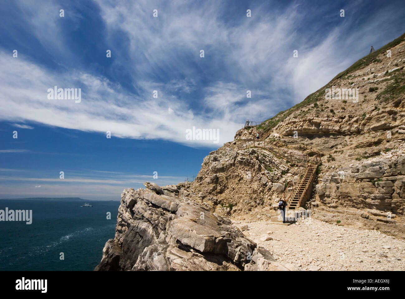 The fossil forest near Lulworth Cove, Dorset, UK Stock Photo Alamy