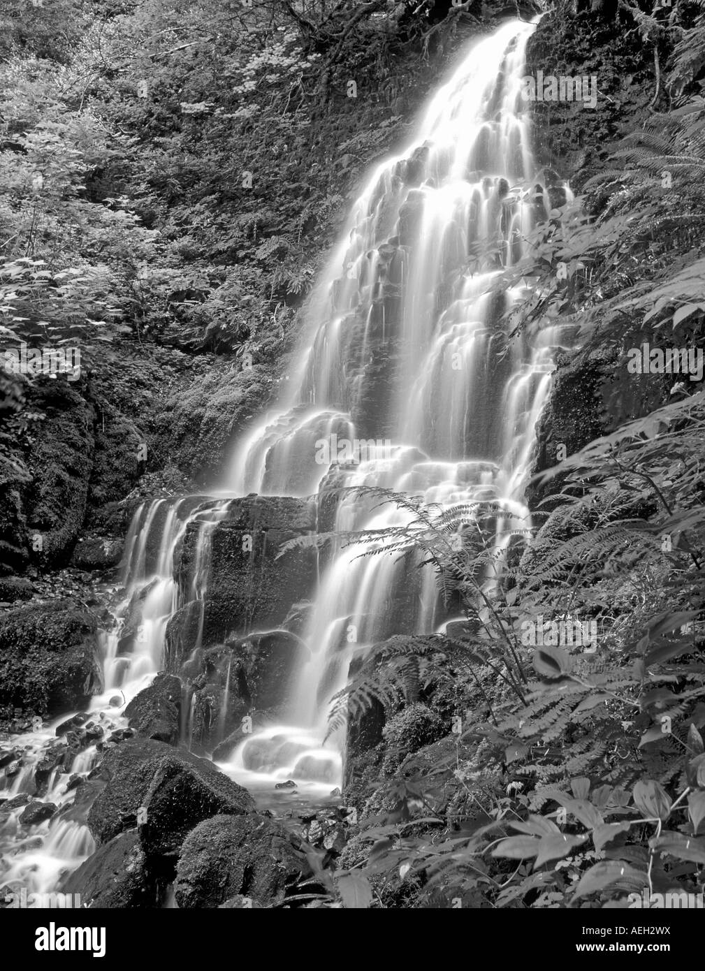 M00207M tiff Fairy Falls Columbia River Gorge National Scenic Area Oregon Stock Photo