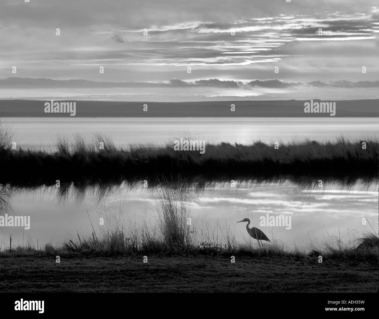 Old car in dump at Summer Lake Wildlife Refuge with sunrise Oregon Stock Photo