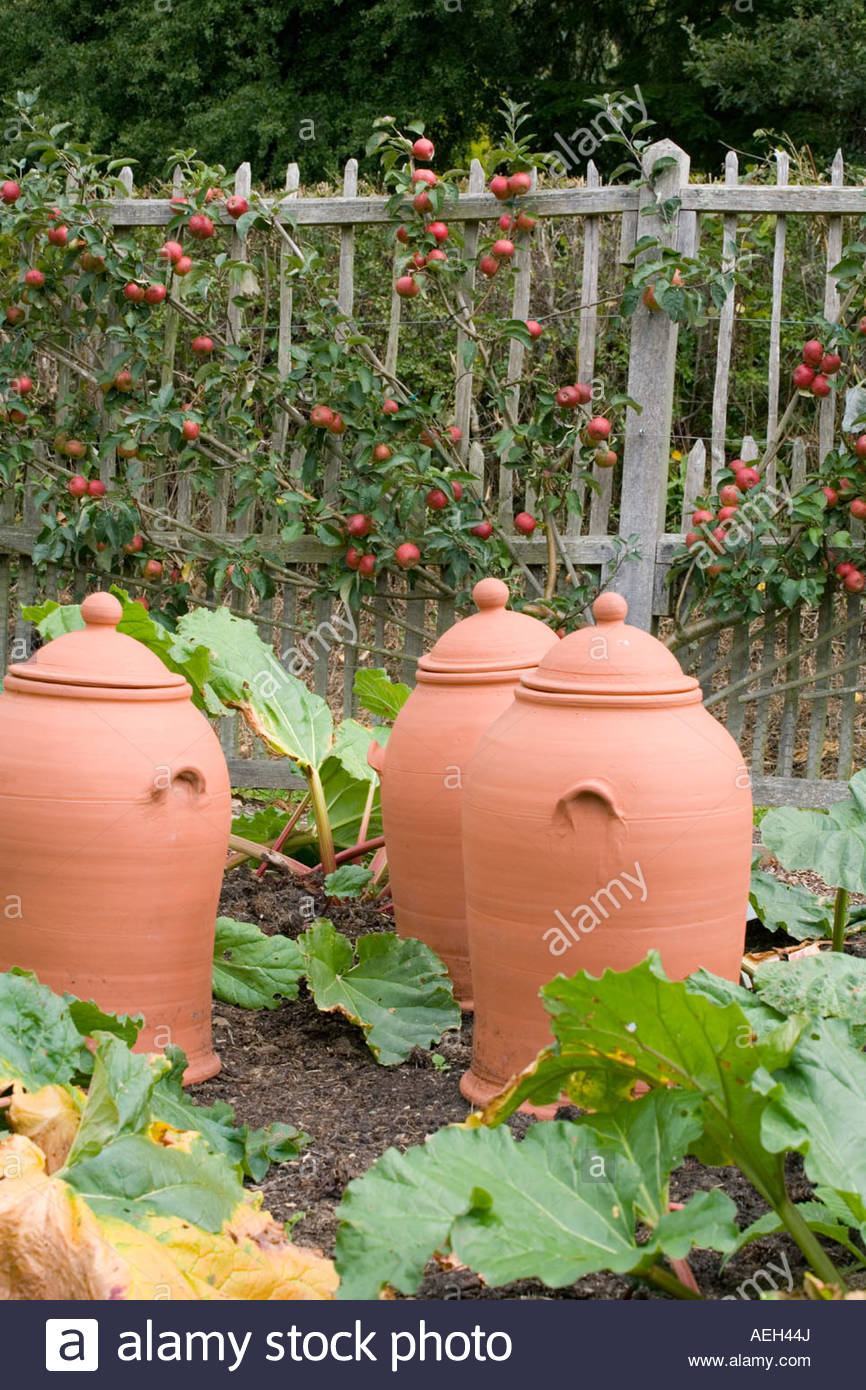 Rhubarb Forcing Pots Stock Photos & Rhubarb Forcing Pots Stock Images