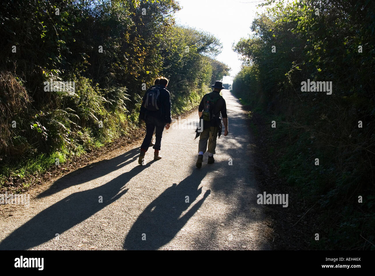 walkers on country road in Cornwall UK Stock Photo
