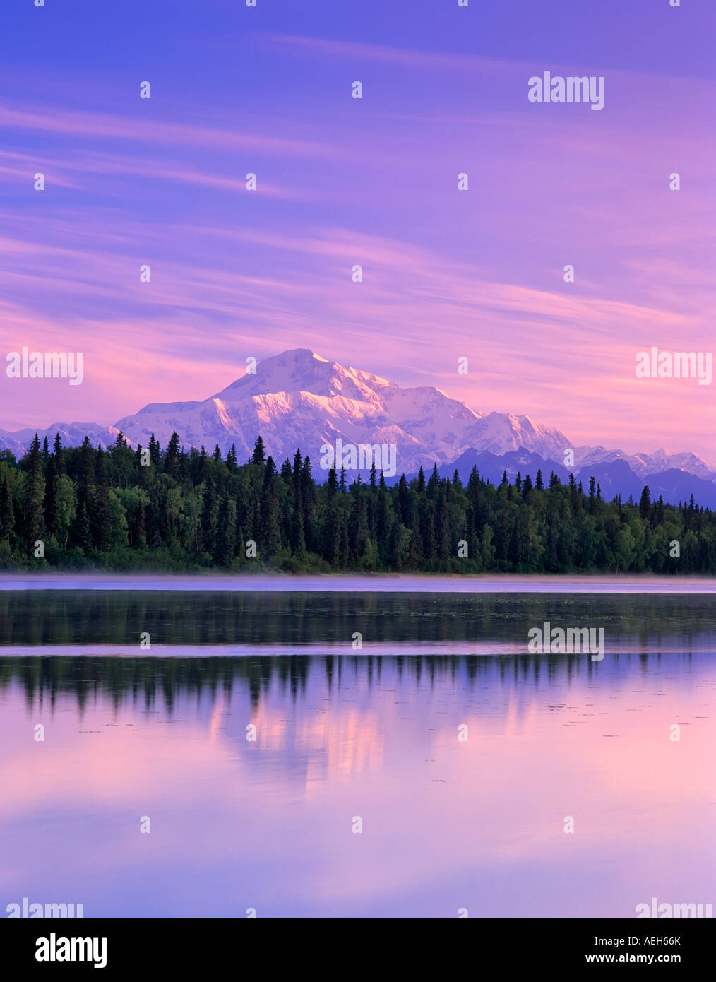 Mt McKinley reflected in small pond near Talkeetna Alaska Stock Photo