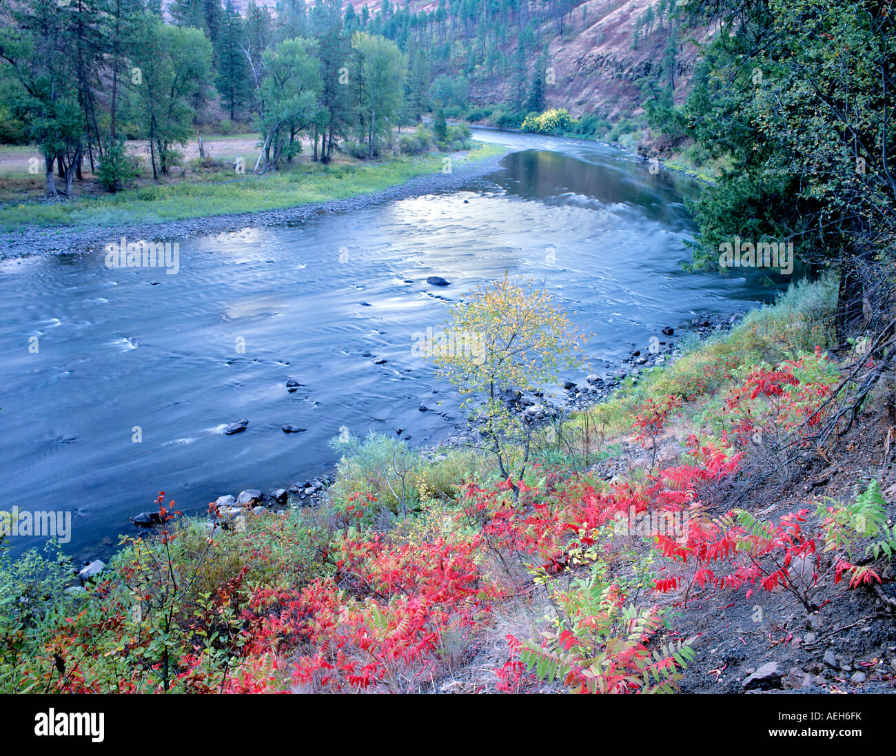 Troy woodland hi-res stock photography and images - Alamy