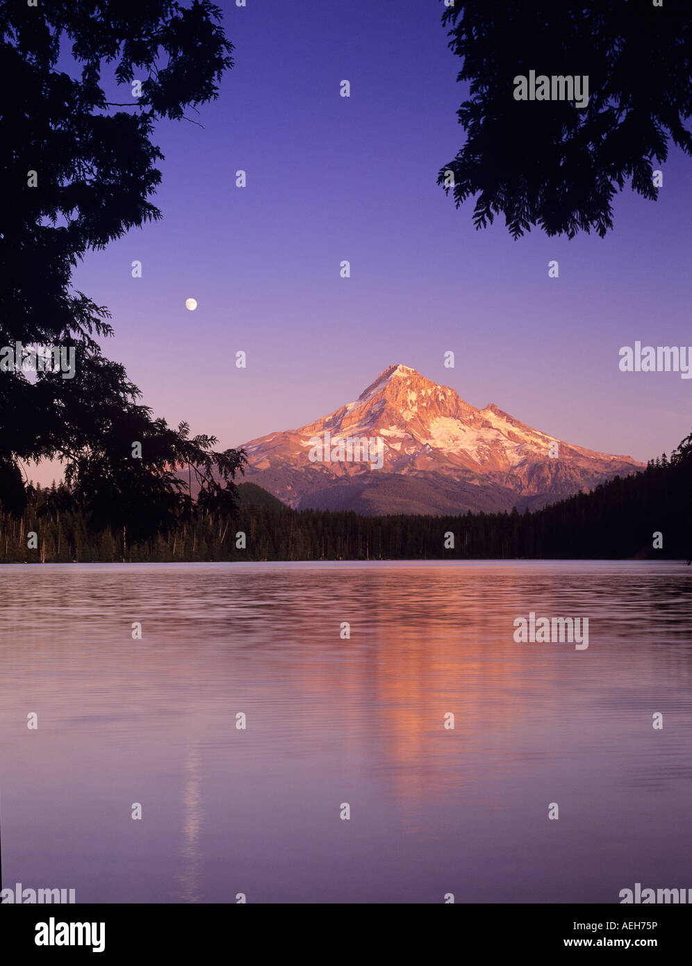 Lost Lake and Mt Hood with moonrise Oregon Stock Photo