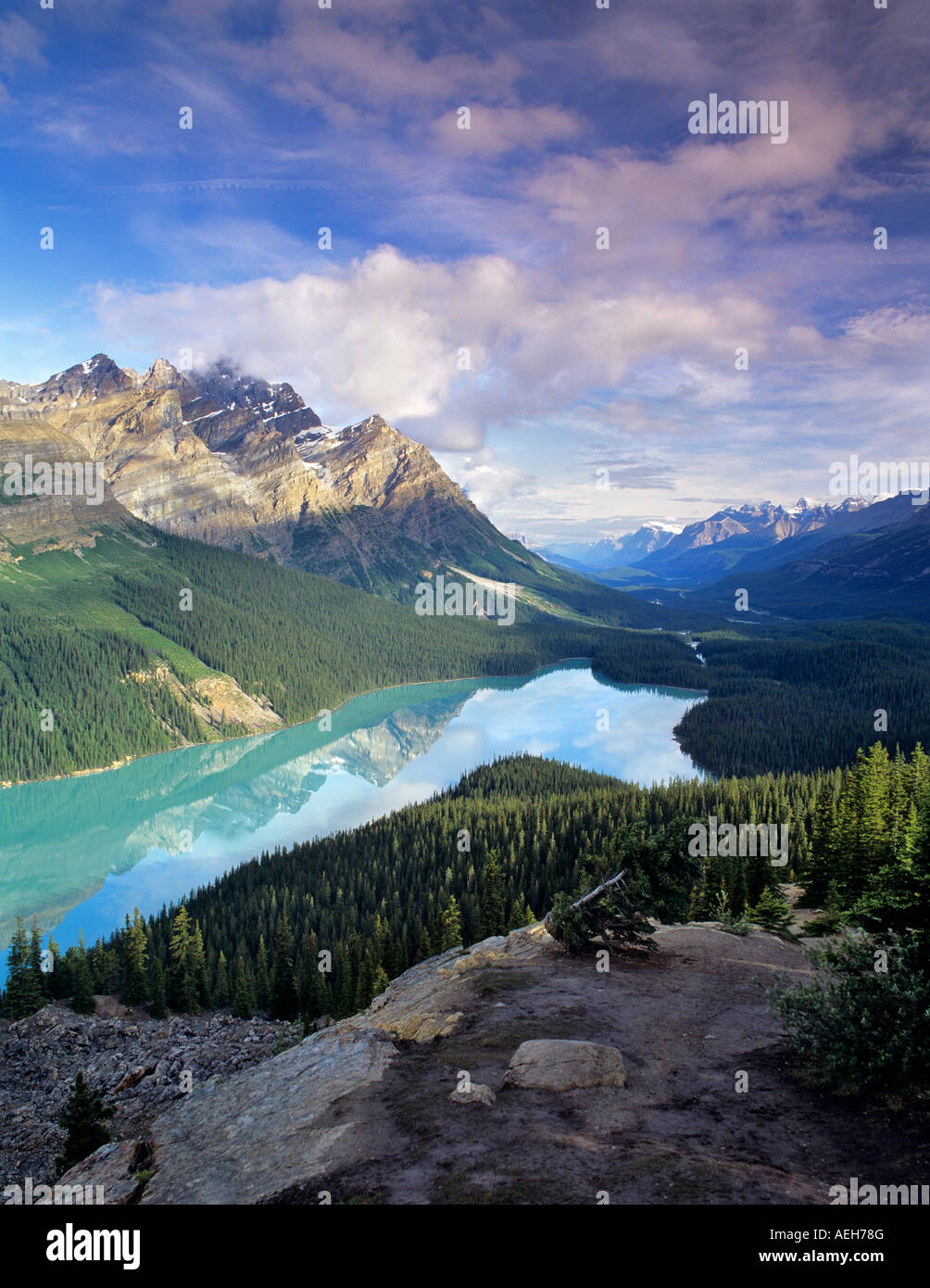 Peyto Lake Banff National Park Canada Stock Photo - Alamy