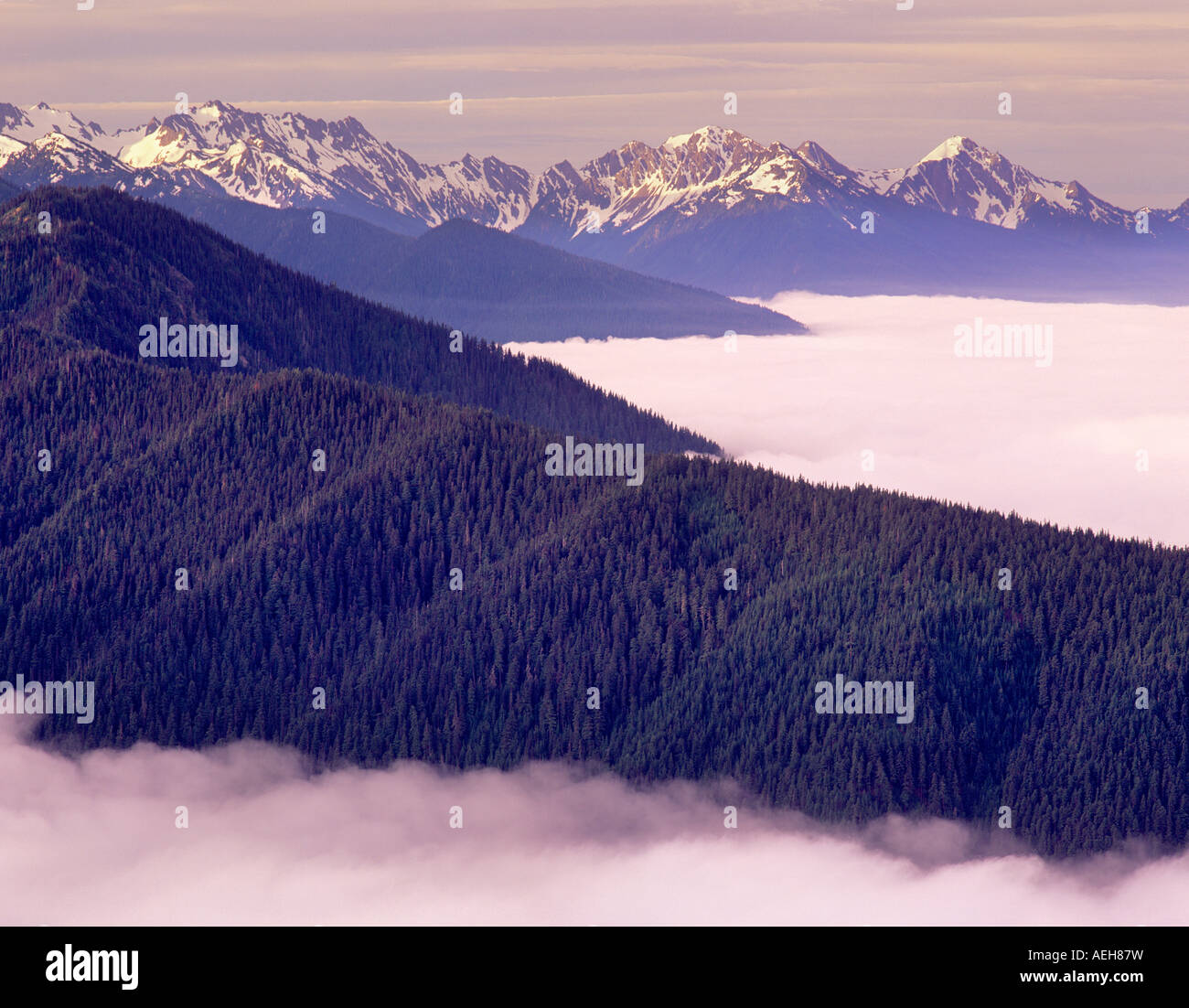 My Image 14