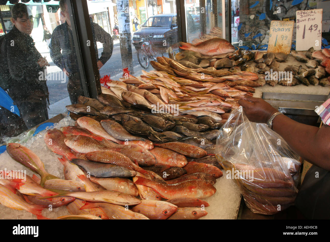 Kensington fish market Toronto Ontario Canada Stock Photo - Alamy