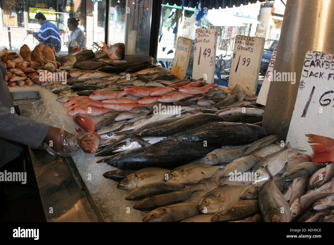 Kensington fish market Toronto Ontario Canada Stock Photo Alamy