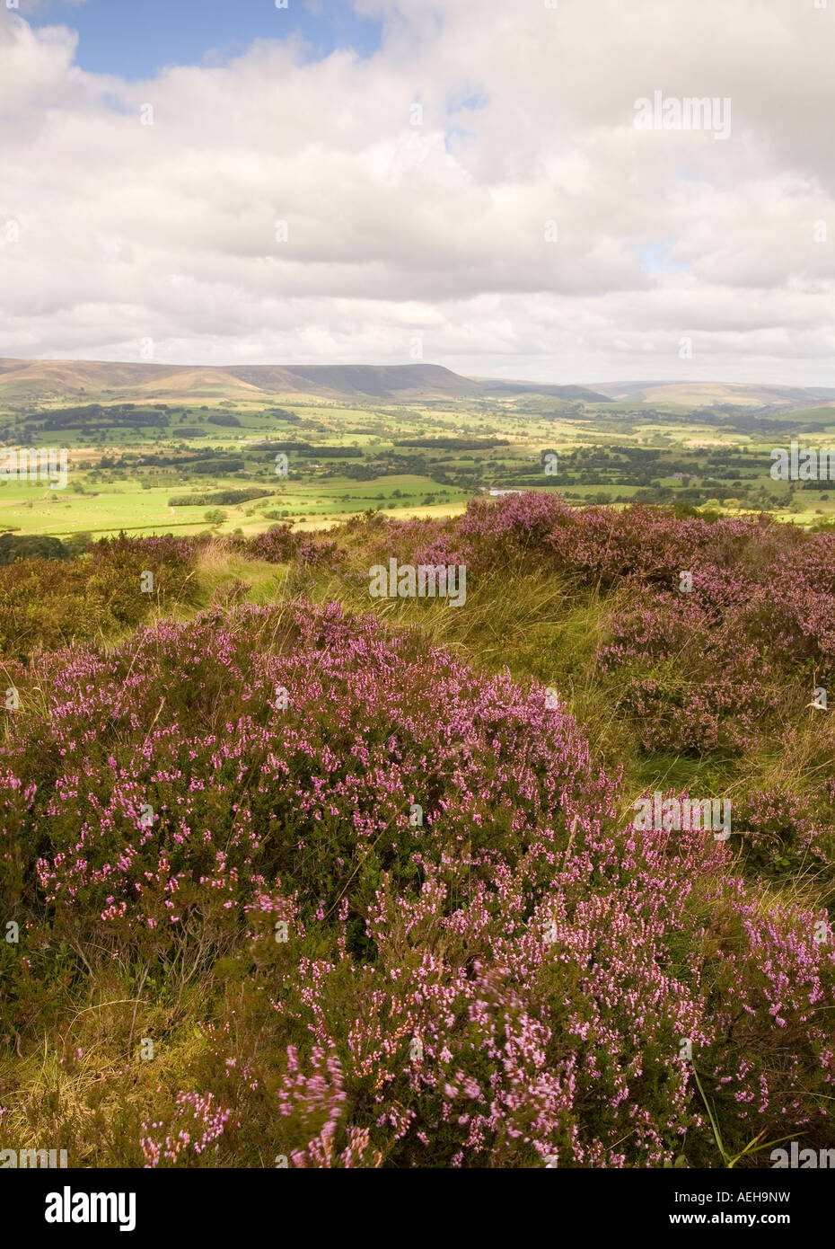 Longridge Fell, Ribble Valley, Lancashire Stock Photo - Alamy