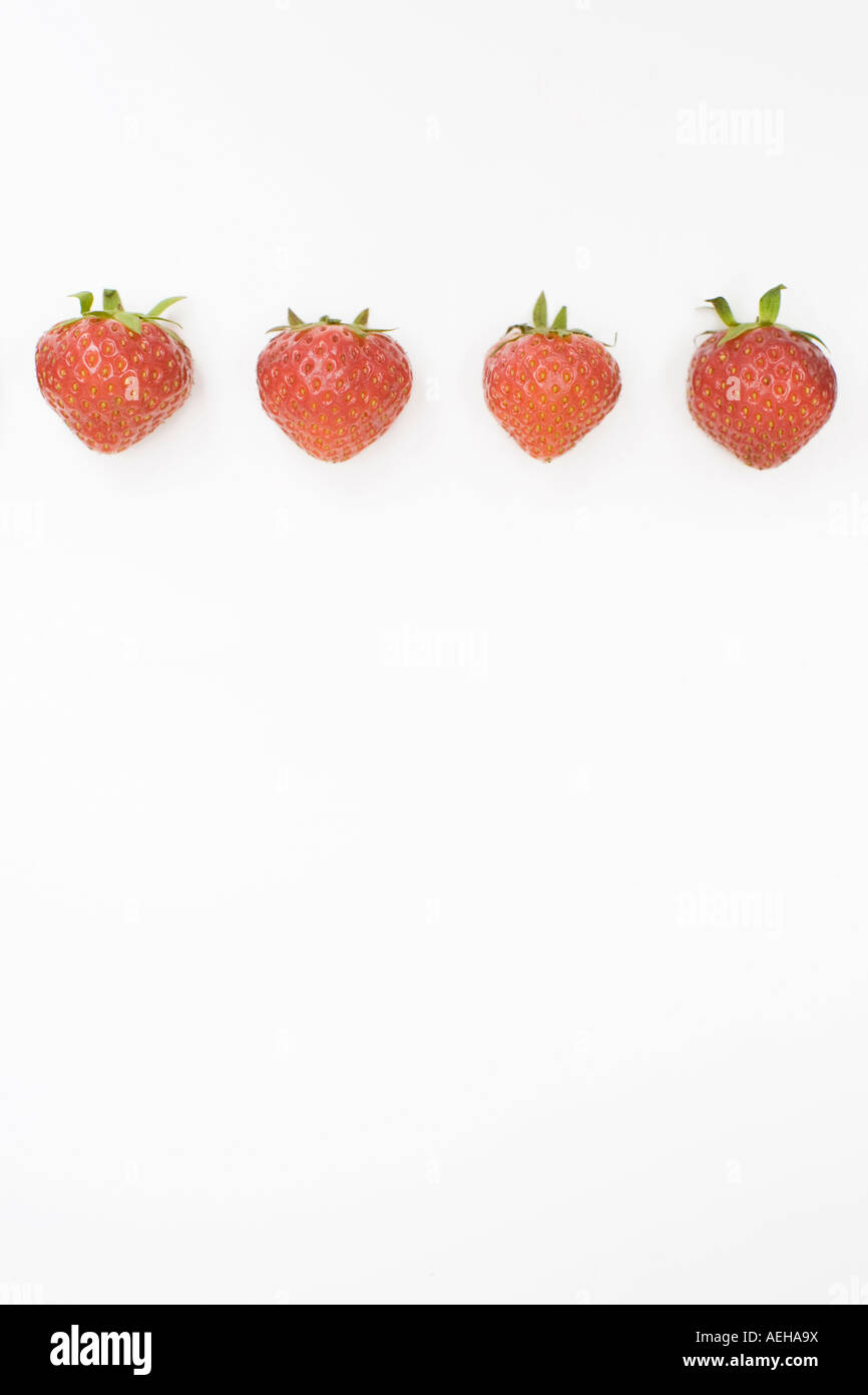 Four strawberries on white in a line Stock Photo