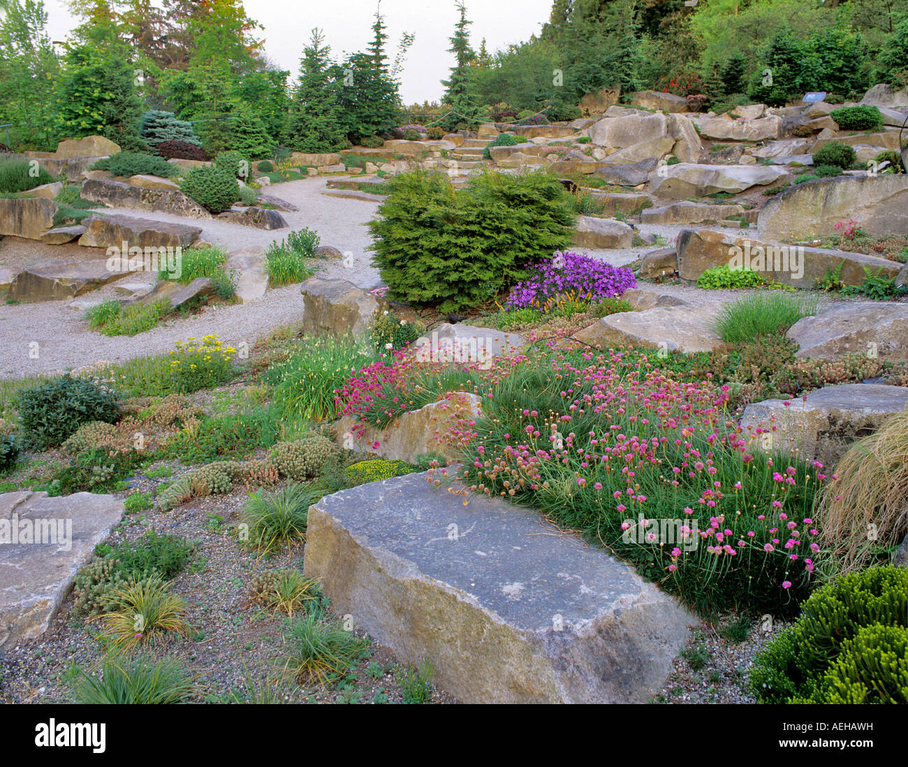 Alpine rock garden Bellevue Botanical Garden Washington Stock Photo
