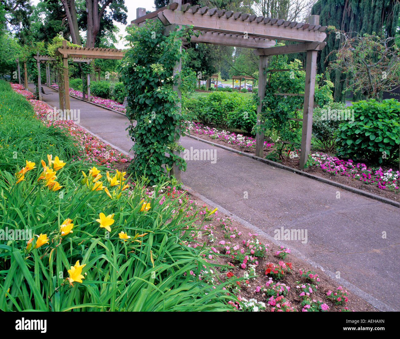 Impatiens lined path into rose garden at Point Defiance Park Tacoma Washington Stock Photo