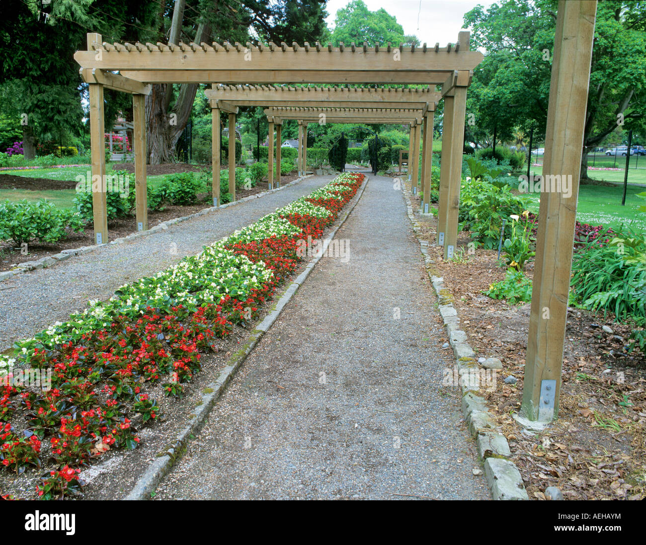 Begonia lined path into rose garden at Point Defiance Park Tacoma Washington Stock Photo