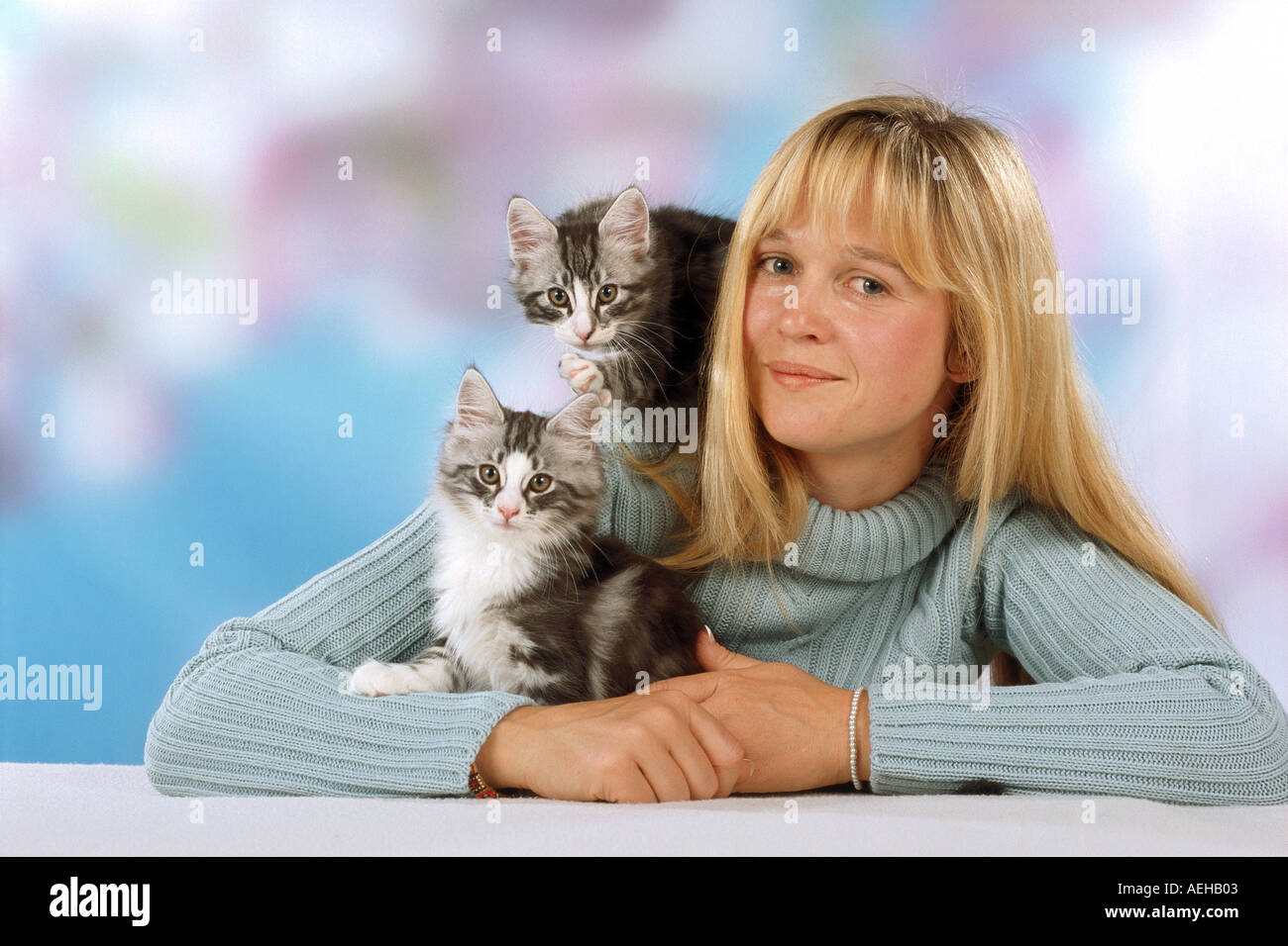 woman with two young norwegian cats kitten Stock Photo