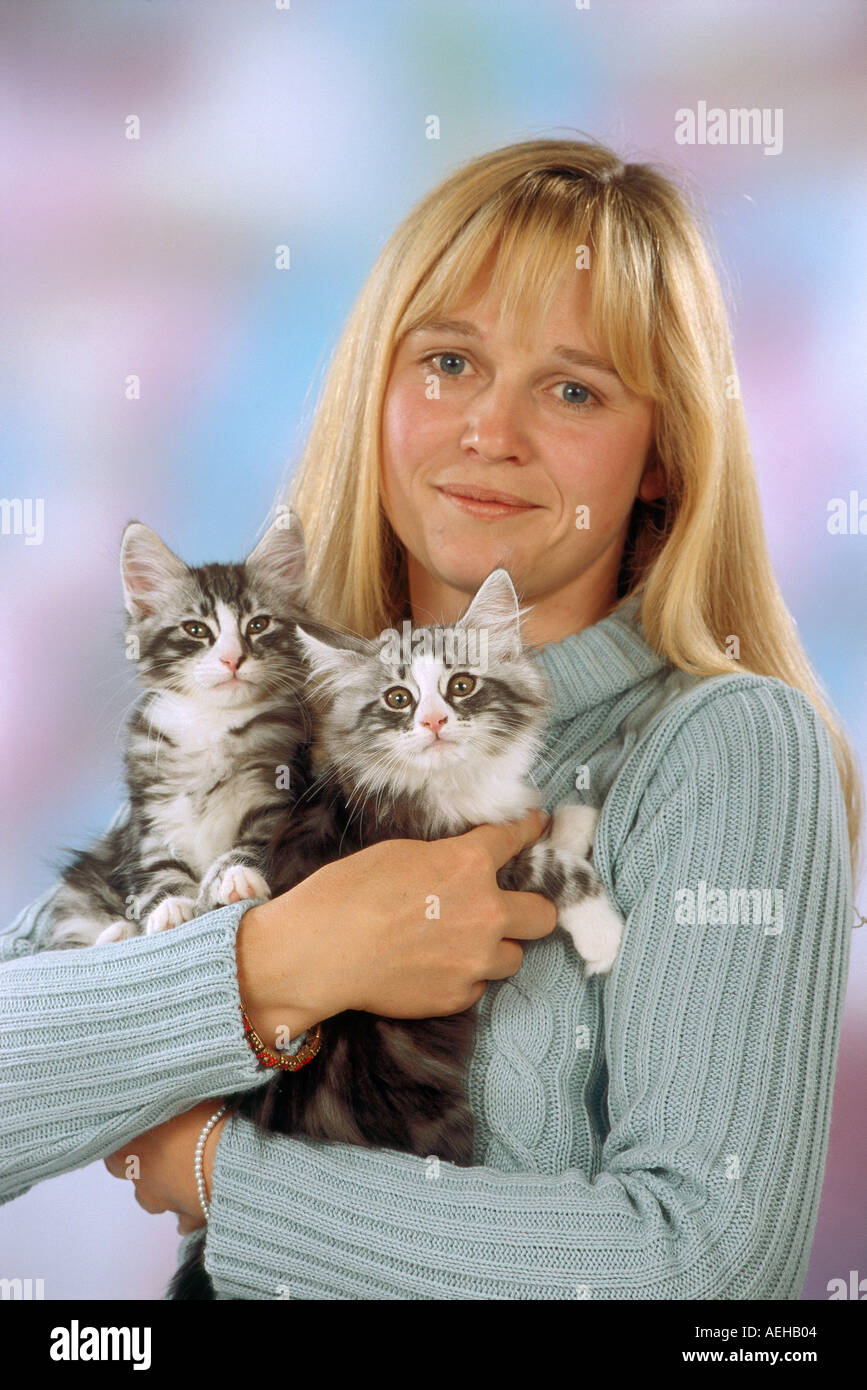 woman with two young norwegian cats kitten Stock Photo