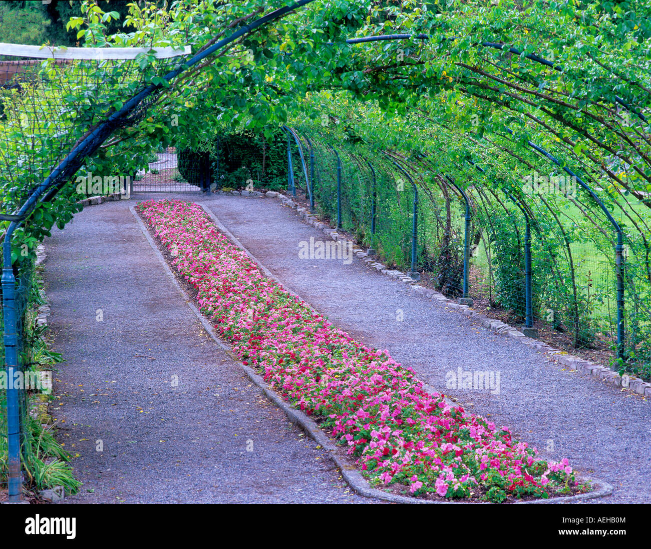 Impatiens lined path into rose garden at Point Defiance Park Tacoma Washington Stock Photo