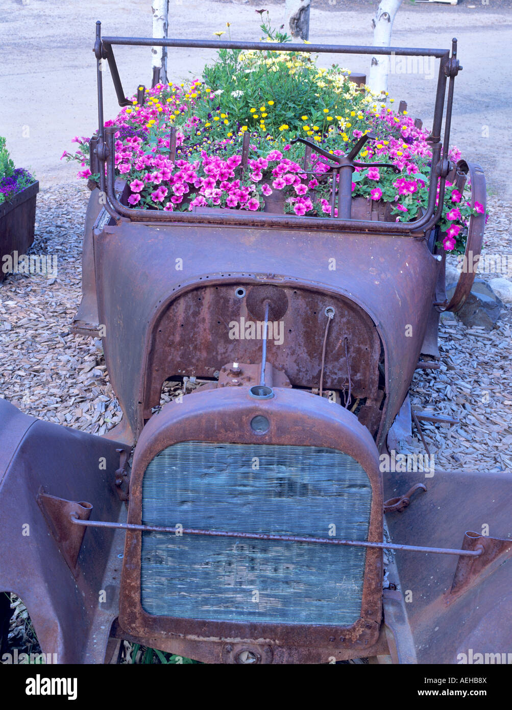 1917 Dodge Brothers truck with flowers Chena Hot Springs Alaska Stock Photo