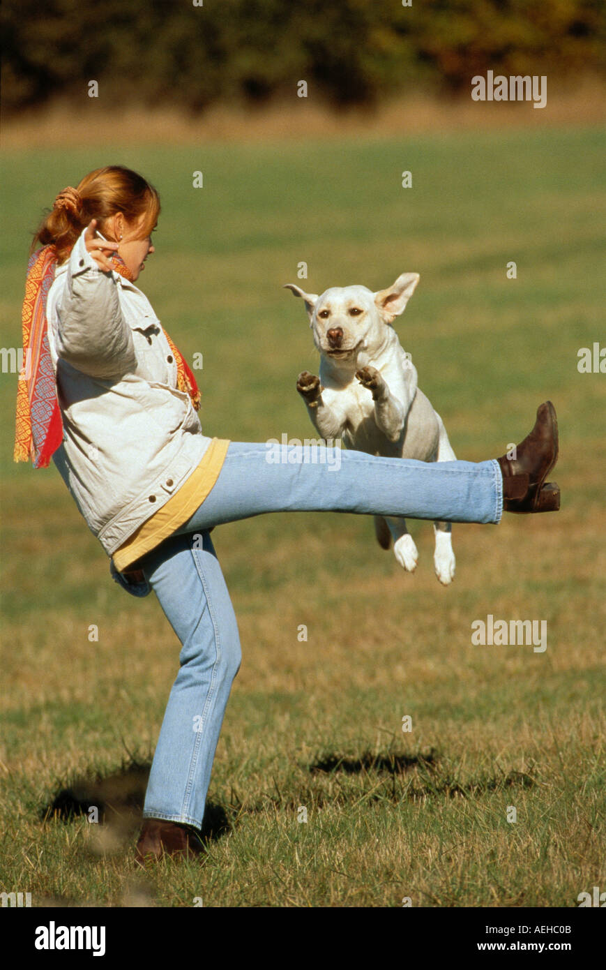Dog jumping over leg girl hires stock photography and images Alamy