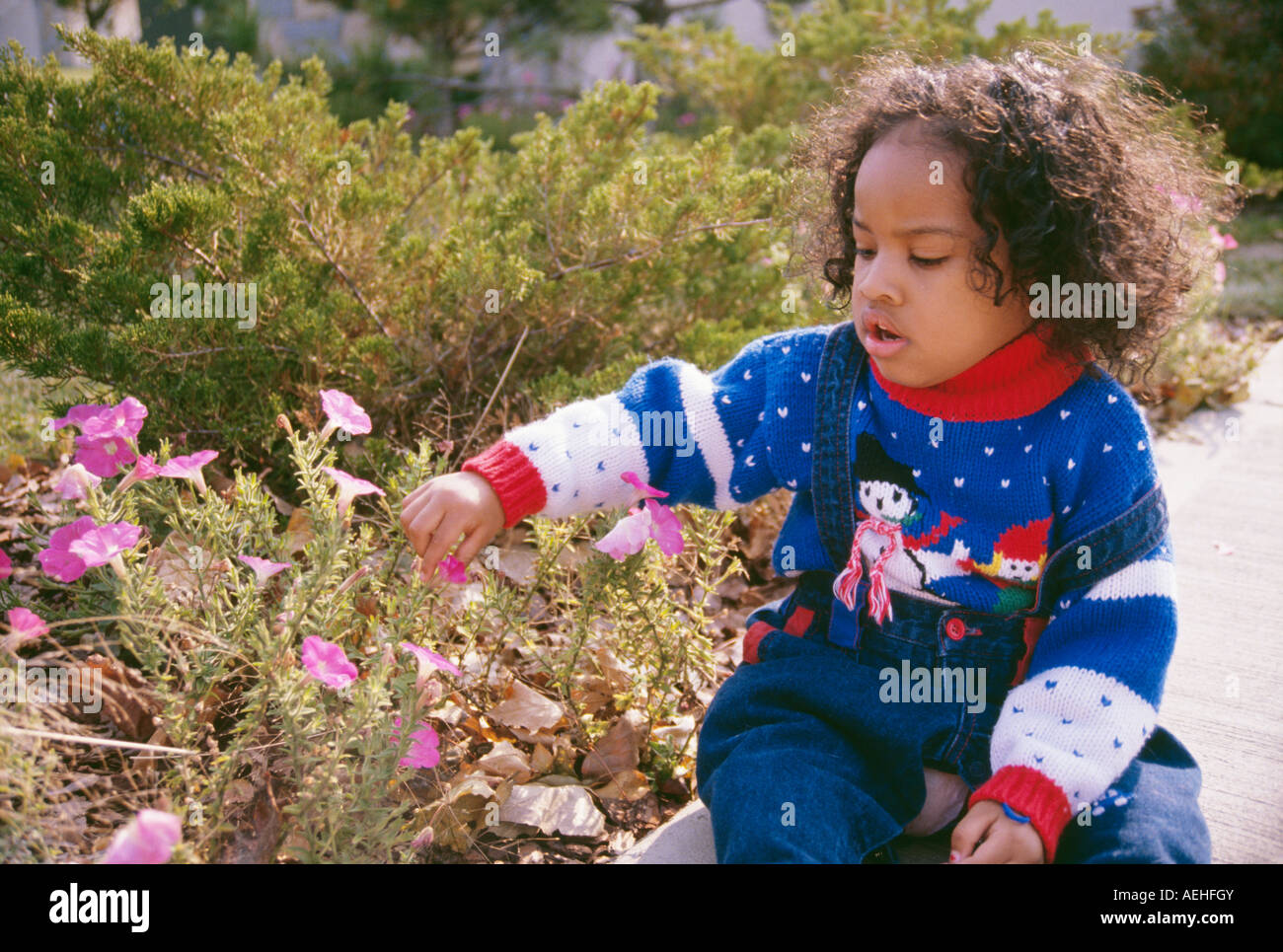 2-3 year old olds toddler toddlers Girl picking flowers in cold sunny weather diverse multi racial diversity Bi racial child MR ©Myrleen Pearson Stock Photo