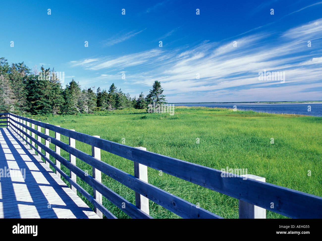 Salt water marsh with grass and wooden boardwalk at Kouchibouguac