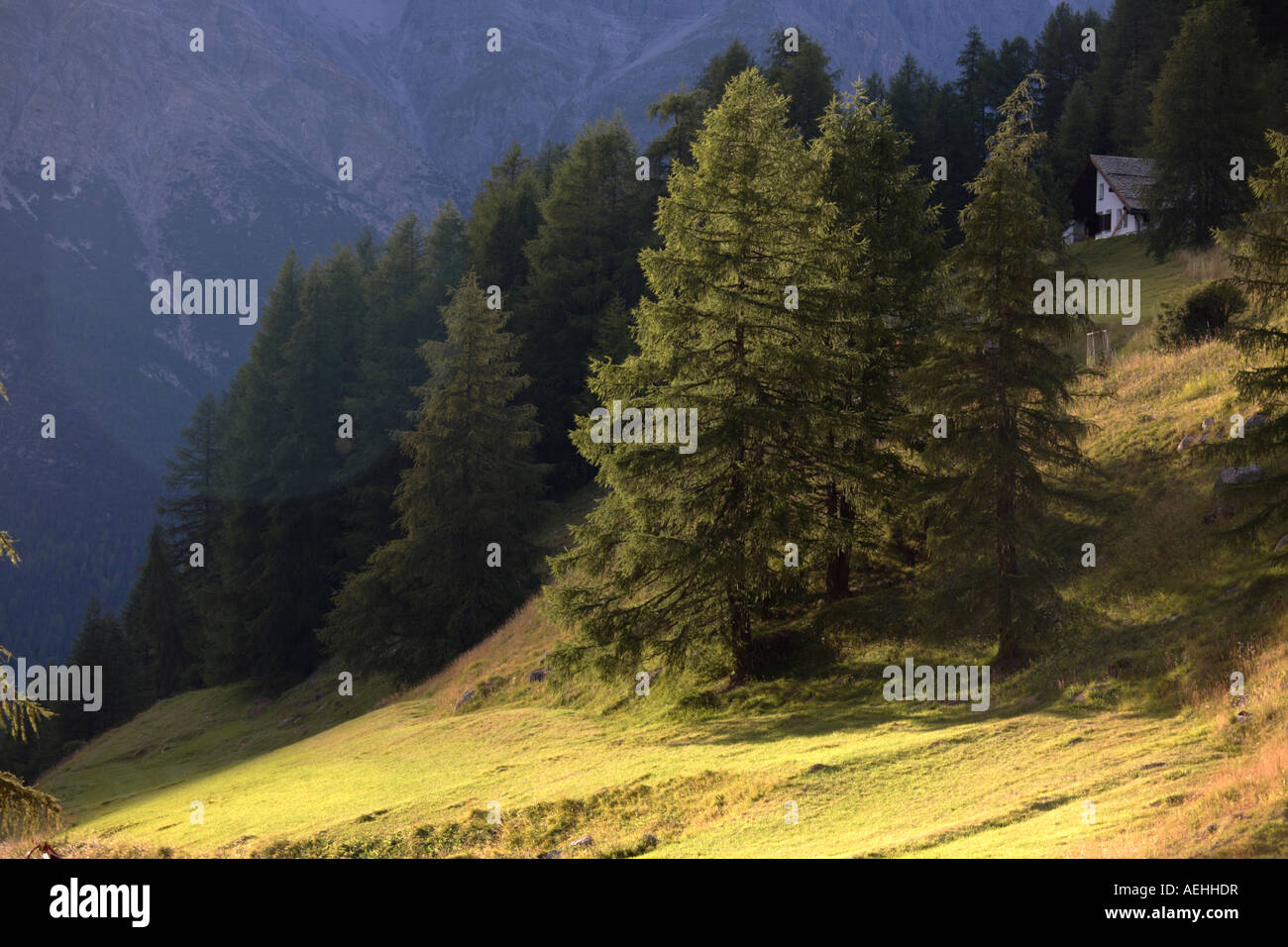 Valley of Swiss Alps, Switzerland Stock Photo - Alamy