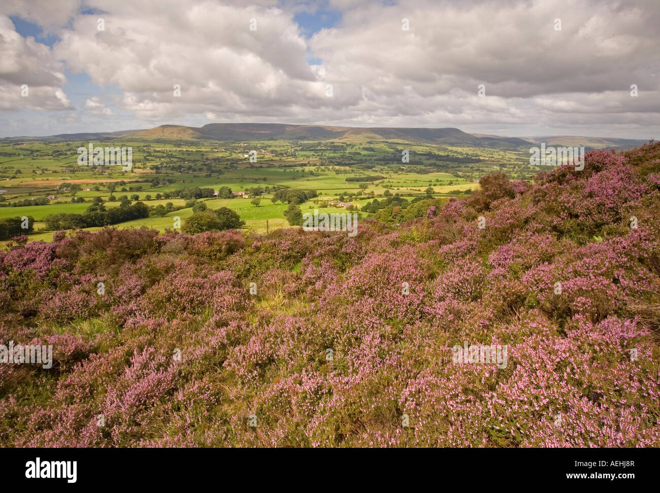 Longridge fell hi-res stock photography and images - Alamy